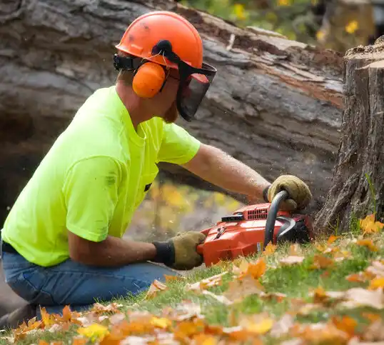 tree services West Alton